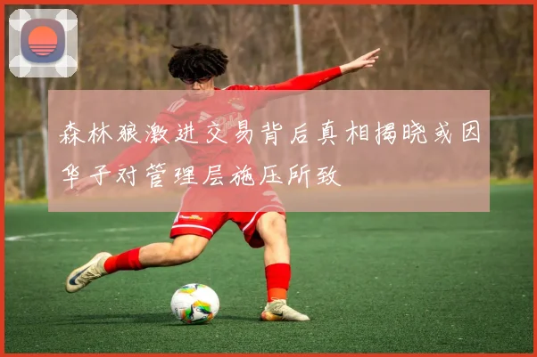 森林狼激进交易背后真相揭晓或因华子对管理层施压所致