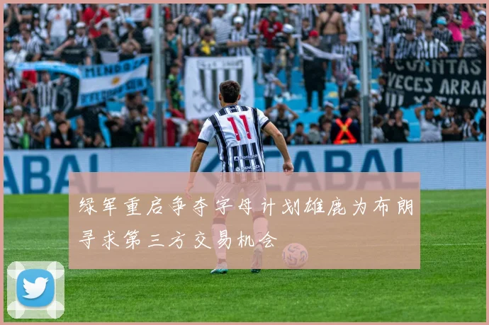 绿军重启争夺字母计划雄鹿为布朗寻求第三方交易机会